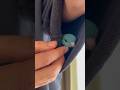 New Year Short Greetings from Lineolated Parakeet Wasabi #shorts