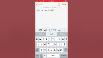 THE NEW IOS 11.0.1 SCREEN RECORDER