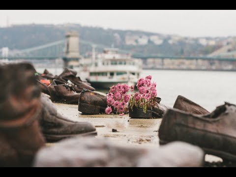 ვიდეო: უბრალოება ჩანს