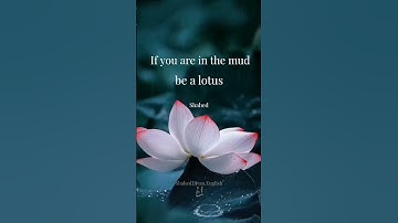 "Noble Staying" Through Buddha