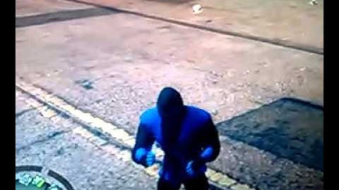 Mortal Kombat X SubZero guesting on Saints Row