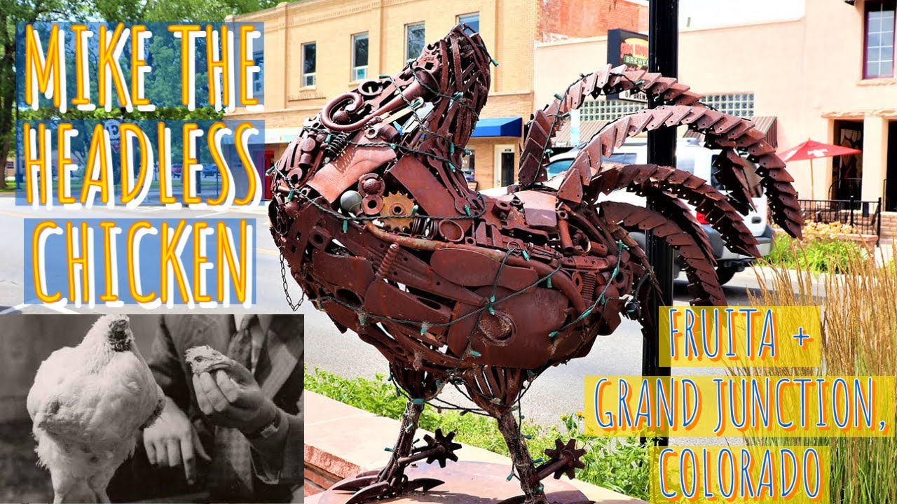 Mike the Headless Chicken Statue, Dinosaurs + Downtown Grand Junction, Colorado