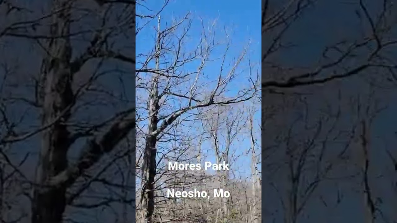 MORES PARK.               NEOSHO, MO
