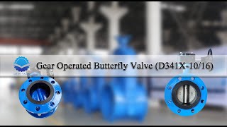 (LITUO) Gear Operated Butterfly Valve (D341X-1016)