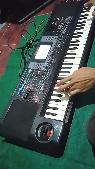 Raib Bunga desa korg micro arranger #korgpa50 #digitalpiano #korgpiano #korgpa50sd #korgpa5o