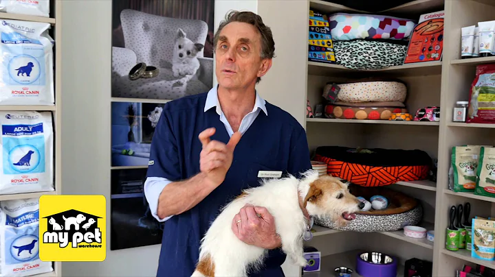 How to tell if your dog has worms - DayDayNews