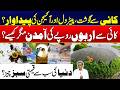 From Microalgae to Meat &amp; Petrol? - Most Valuable Green Resource on Earth Revealed - Shocking Video!