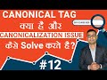 #12 Canonicalization Issue | What is a Canonical Tag and How to Write  them(⭐SEO Course⭐)