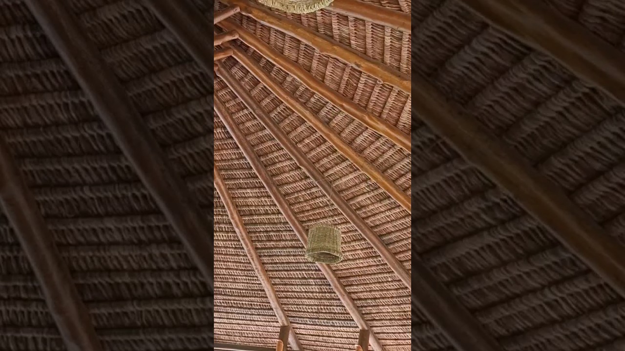 piaçava ou sapê?