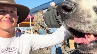 A Walk Through the Keo Pecan Festival!