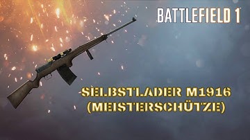 10 Kills with Selbstlader M1916 (Meisterschütze) [BATTLEFIELD1]