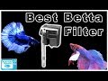 The Best Betta Filters for Your Aquarium