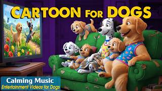 Dog Cartoon: Relaxing Music & Dog TV for Dogs to Watch Home Alone | Best Dog Videos & Music for Dogs News