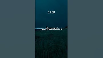 تلاوة عذبة ومؤثرة من القرآن الكريم | اكتب شيء تؤجر عليه