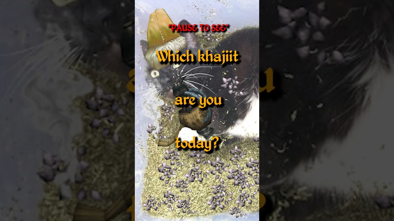Which Khajiit are YOU today?