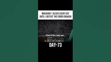Destroy 1 block every day until i defeat the ender dragon! Day 73 #minecraft #shorts #gaming #song