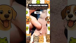 #zitpopping #cat #gaming #blackheadremoval #blackhead #blackheadface #acne #shortvideo