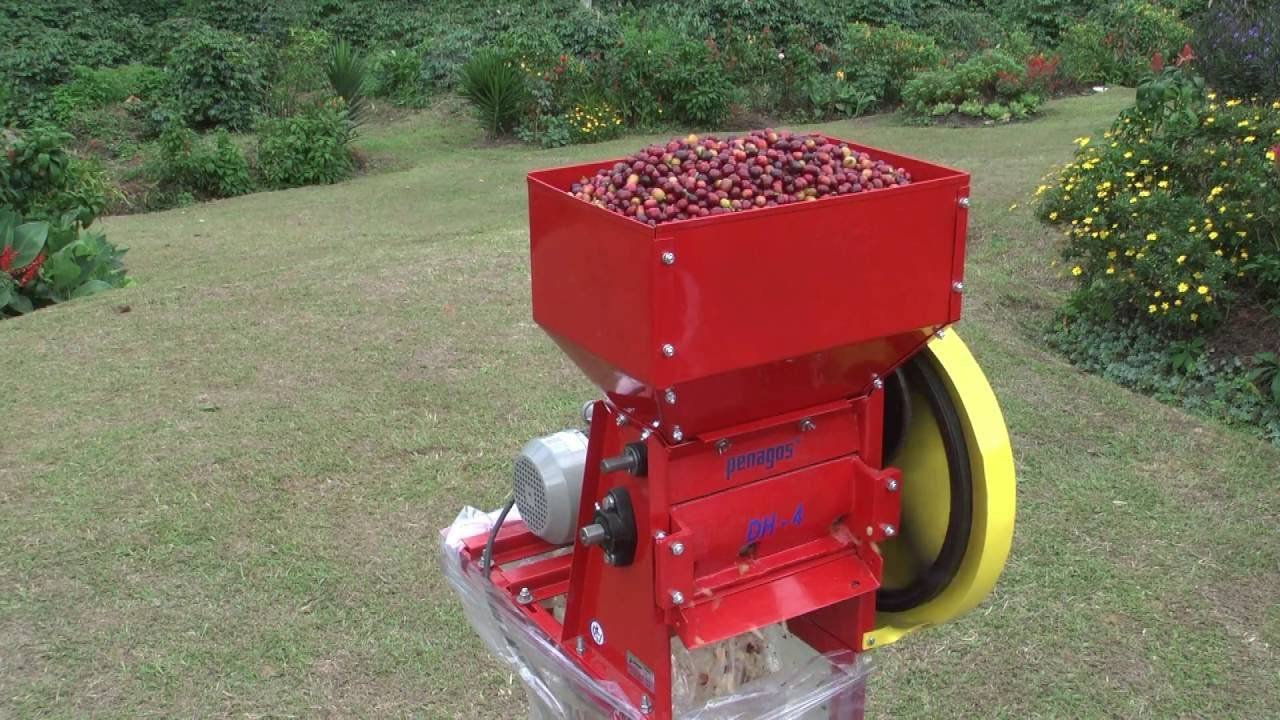 Despulpadoras horizontales Penagos - YouTube