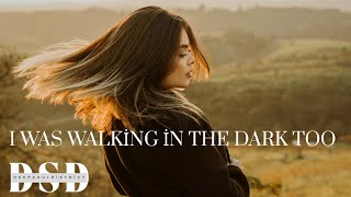 DSD - I was walking in the dark too (Original Mix)