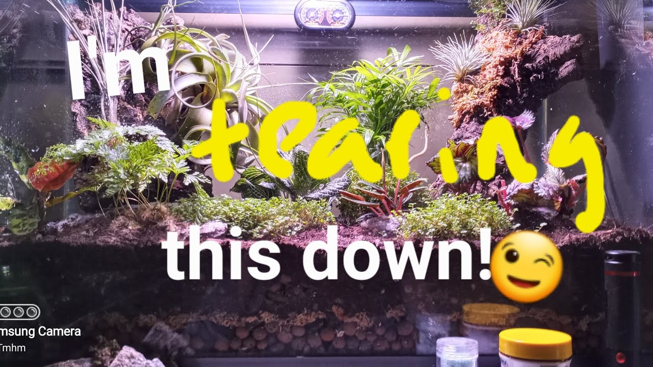 pt. 1 building a terrarium, into and story YouTube