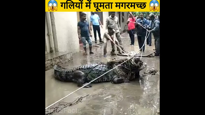 गलियों में घूमता मगरमच्छ 😱 #shorts (Batao ye Video Kaha Ki Hai ? 🤔)