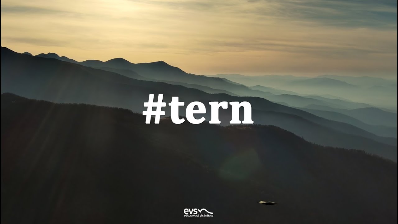 Tern