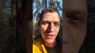 Non verbal languages: