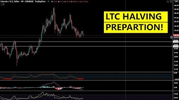 Litecoin Halving 2023 Price Prediction and Preparation
