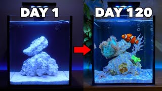 Adding Fish & Corals to my Nano Reef Tank by Danny's Aquariums 30,927 views 1 year ago 3 minutes, 21 seconds