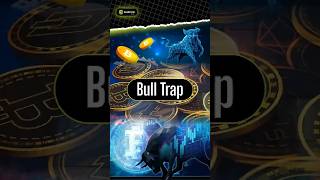 What is a Bull Trap? Don’t Get Fooled! | Quecko Studio