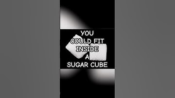 You Could Fit Inside a Sugar Cube! 🤯  #science #facts #shorts