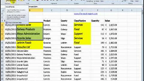 Quickly copy formatting from one cell to another using the Format Painter