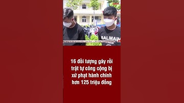 16 Đối Tượng Gây Rối Trật Tự Công Cộng Bị Xử Phạt Hành Chính Hơn 125 Triệu Đồng | ANTV #SHORTS