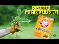 How to Kill Weeds Naturally | 5 Homemade Natural Weed Killer Recipes