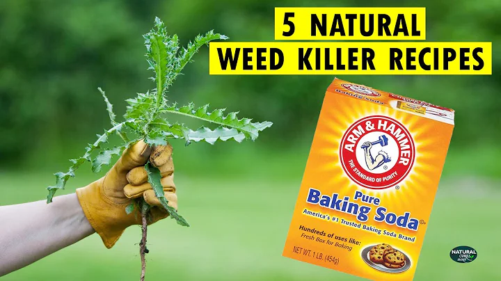 How to Kill Weeds Naturally | 5 Homemade Natural Weed Killer Recipes