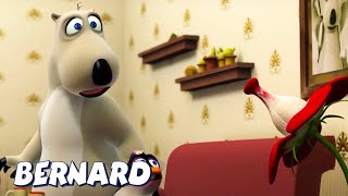 Bernard Bear | The Killer Plant AND MORE | Cartoons for Children | Full Episodes