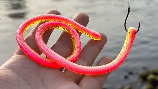 Is a 16 Inch Worm Too Much?