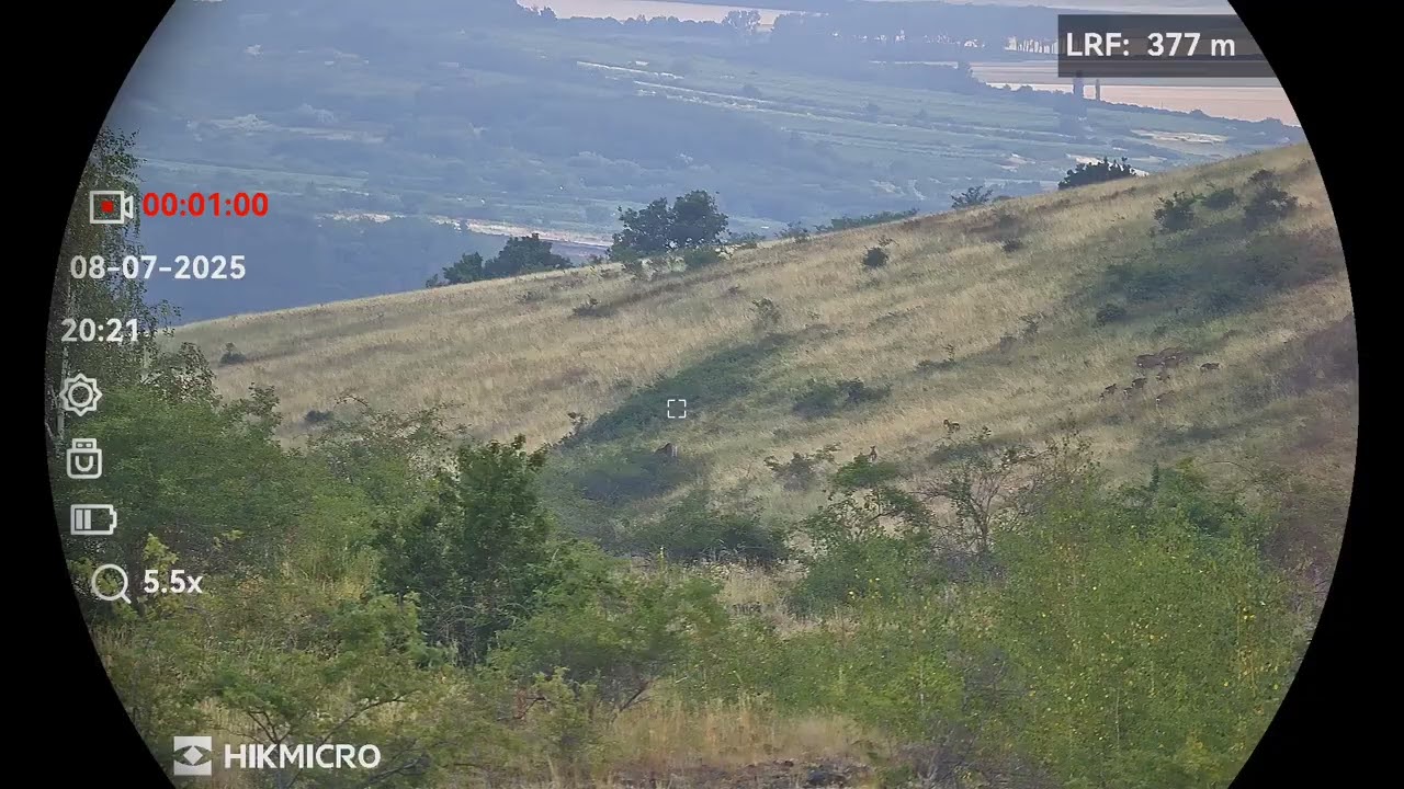Hikmicro Habrok 4k HE25LN Bika+muflon nyáj.