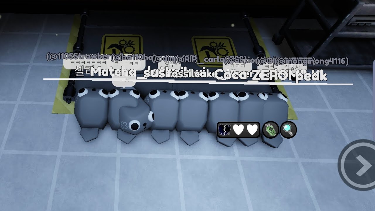 페블 8마리와 함께한 펩런 +12층