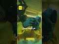 تسرب الكلور في الإسماعيلية.. كيف تحولت محطة مياه إلى لحظات رعب؟