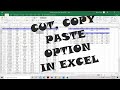 Cut, Copy & Paste Option In Excel