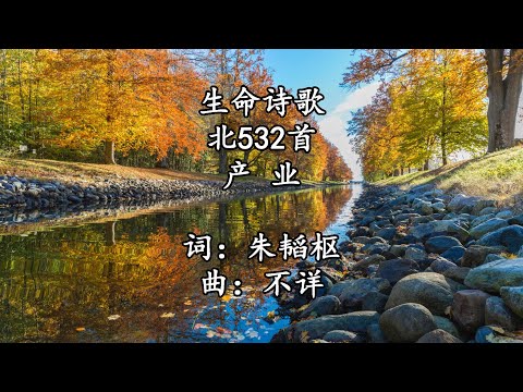 生命诗歌 北532 大718 产业