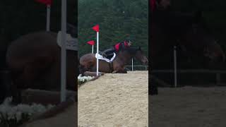 Download Lagu worst news ever 💔 #harlow #horse #equestrianjourney #equestrian #pony MP3 Download Lagu worst news ever 💔 #harlow #horse #equestrianjourney #equestrian #pony MP3