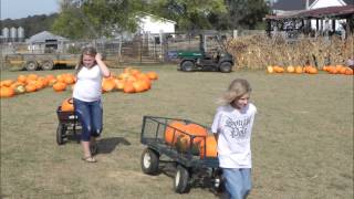 Pumpkin Patch 2010