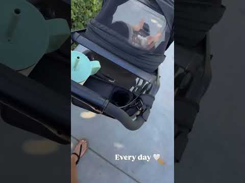 Ana Cheri (@anacheri) archived Instagram Stories compilation from July 22, 2026