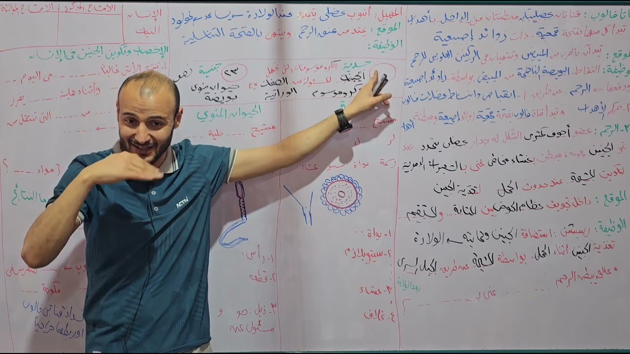 التكاثر في الإنسان آخر حصة علوم تانيه إعدادي#أحمد_عطية