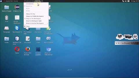 How to set up difference browsers in xubuntu part 3