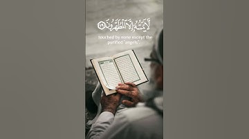 حالات واتس/إنه لقرآن كريم/شريف مصطفى 🌸