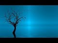 New age music spa music relaxing music reiki music yoga music relaxation music   014