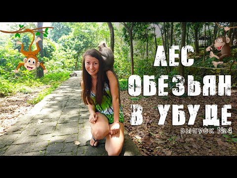 Лес Обезьян, Убуд, Эволюция обезьян | Движение - Жизнь, №4